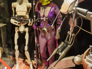 Stars of the Galaxy