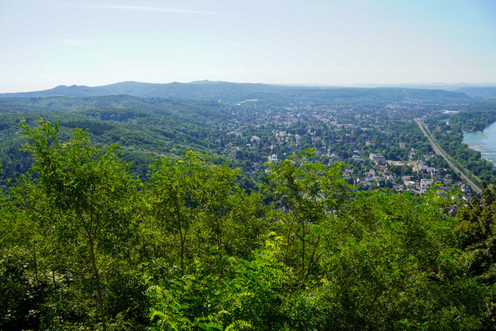 Drachenfels K&ouml;nigswinter