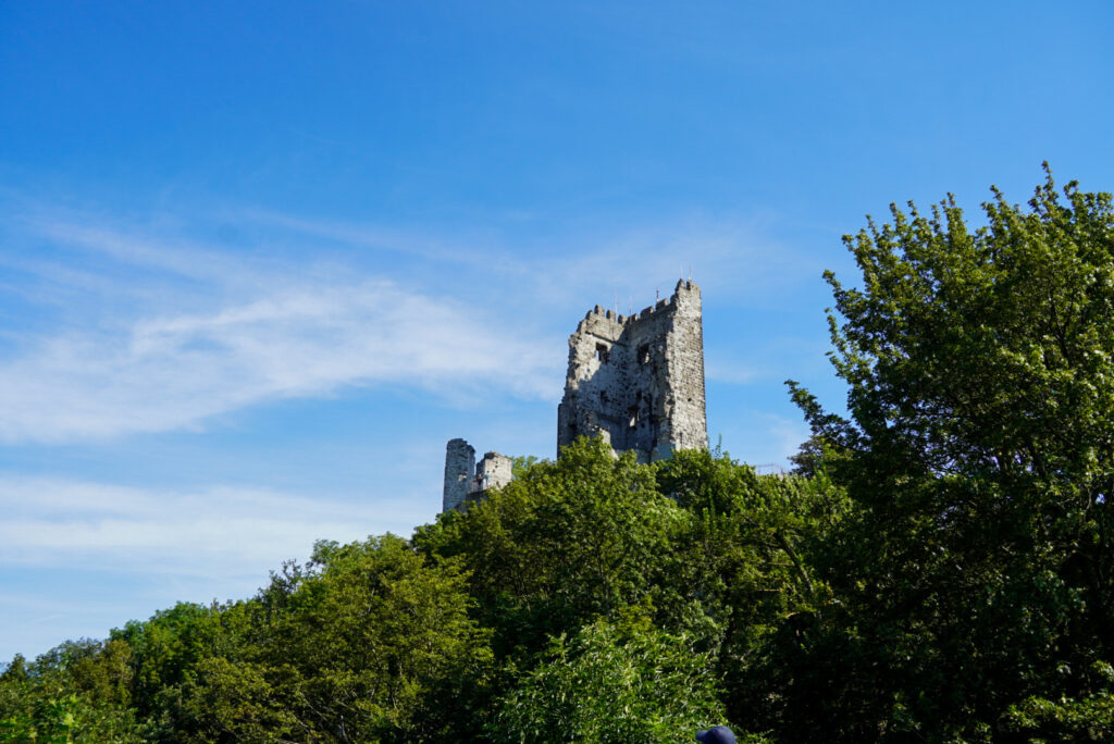 Drachenfels K&ouml;nigswinter
