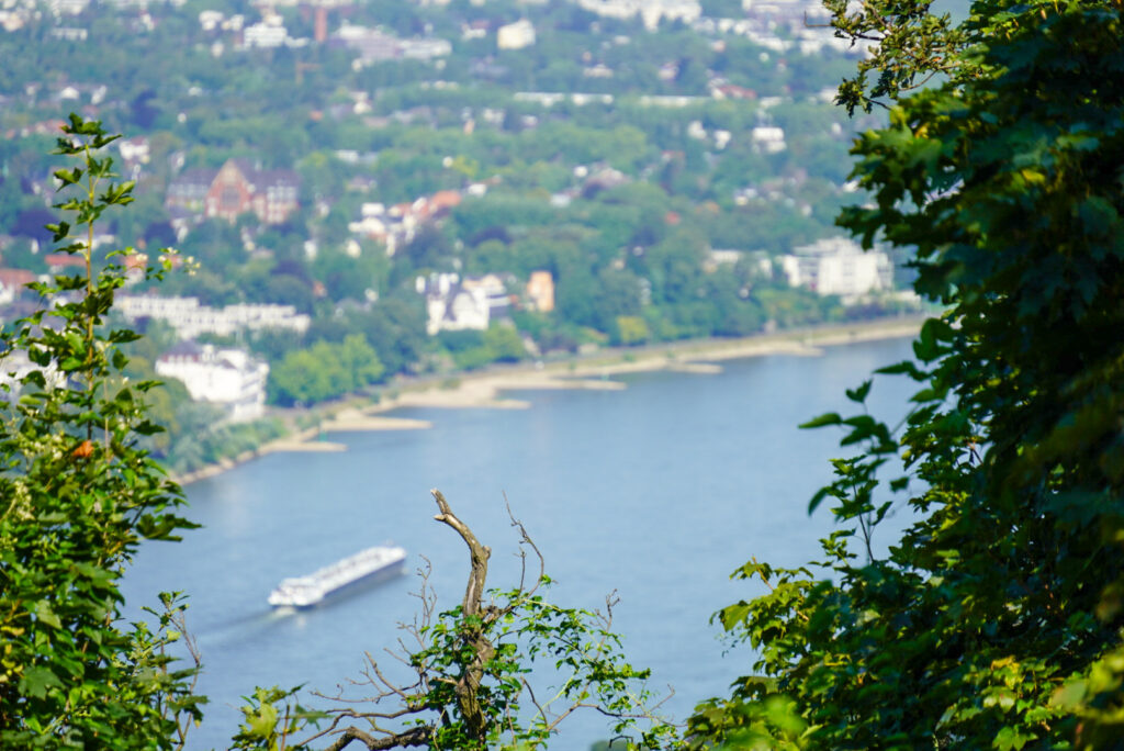 Drachenfels K&ouml;nigswinter