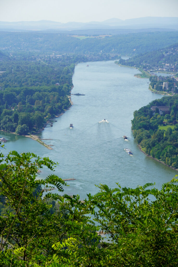 Drachenfels K&ouml;nigswinter