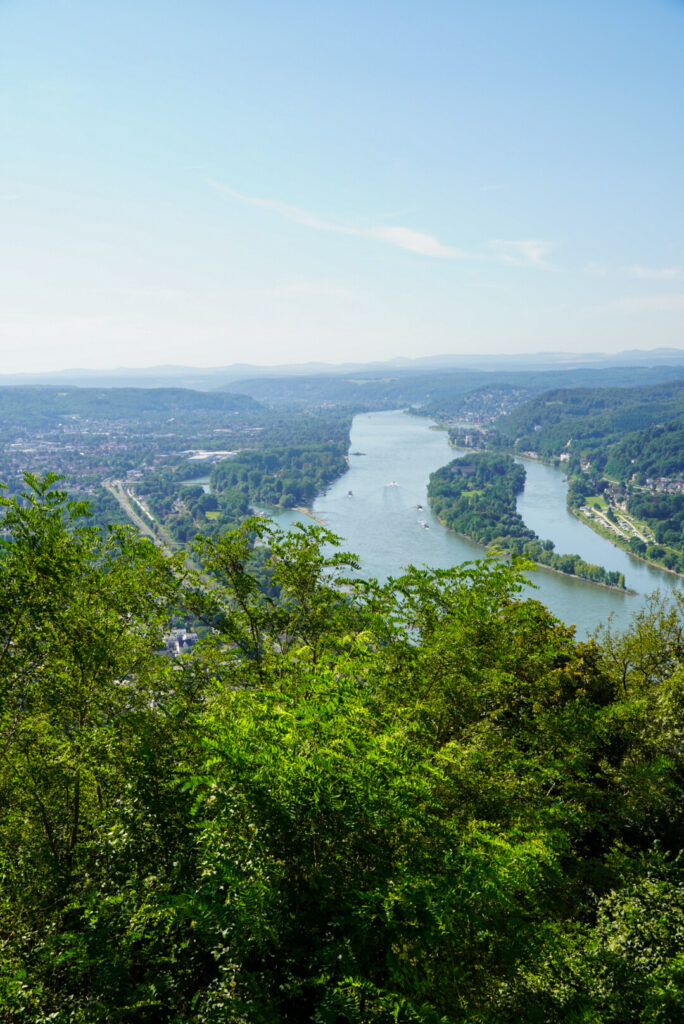 Drachenfels K&ouml;nigswinter