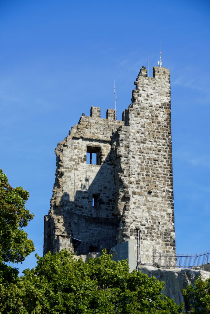 Drachenfels K&ouml;nigswinter