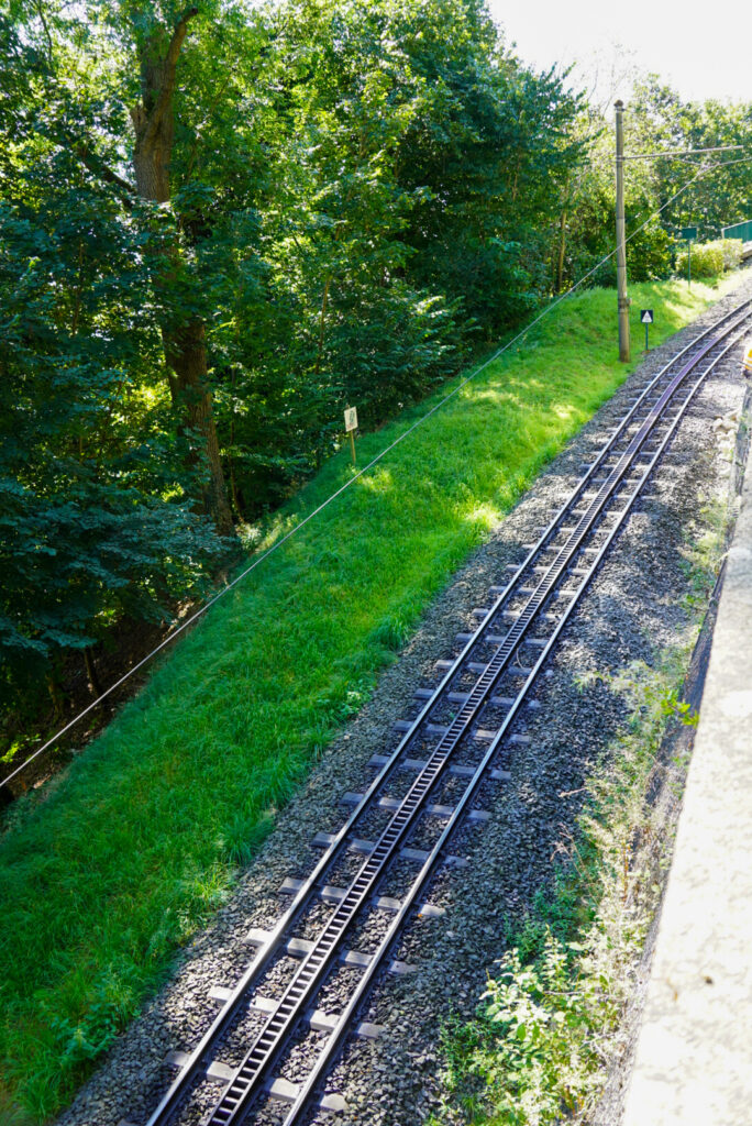 Drachenfels K&ouml;nigswinter