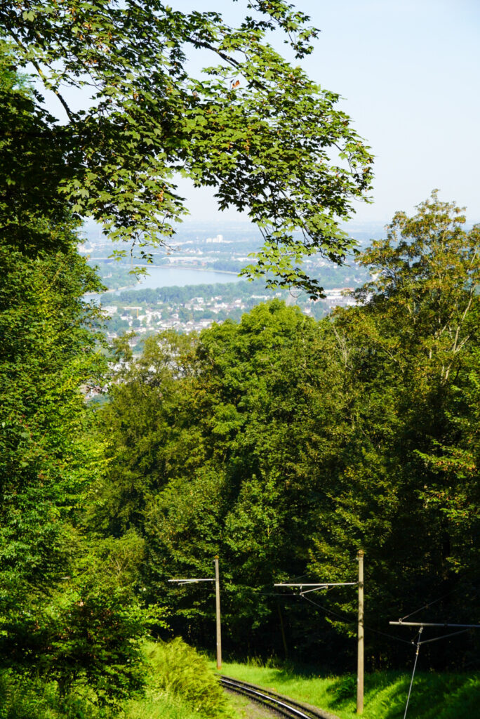 Drachenfels K&ouml;nigswinter