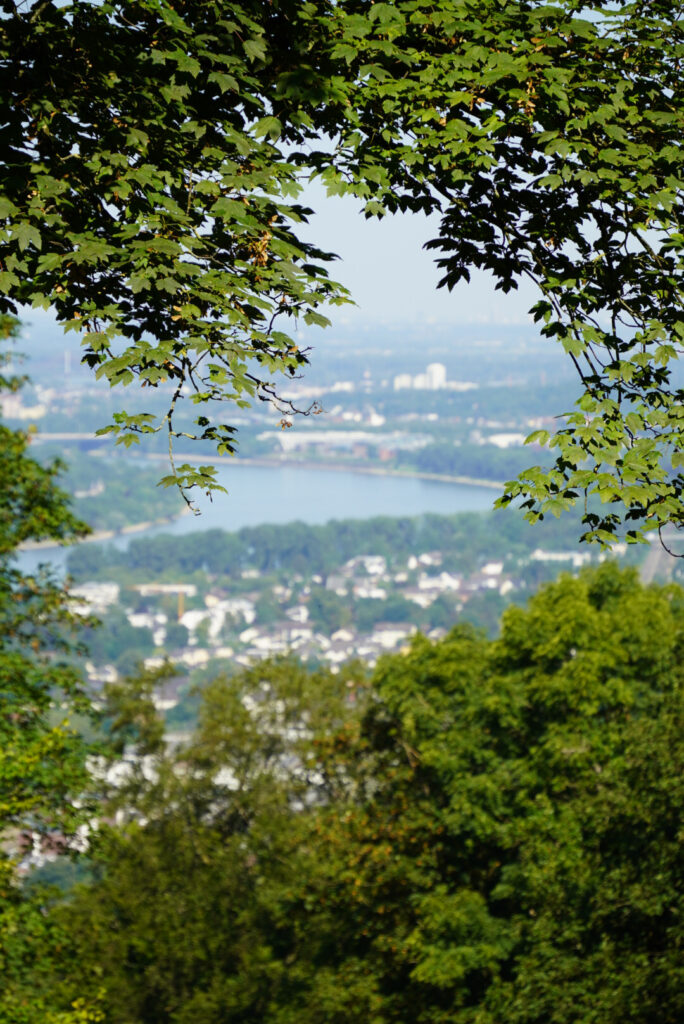 Drachenfels K&ouml;nigswinter