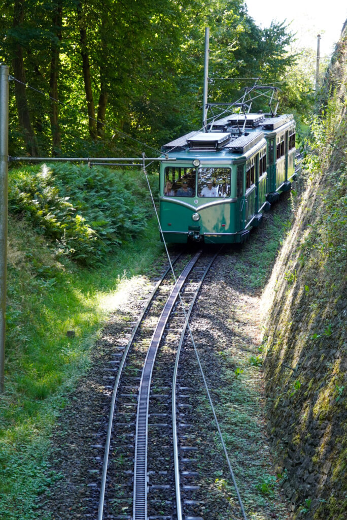 Drachenfels K&ouml;nigswinter