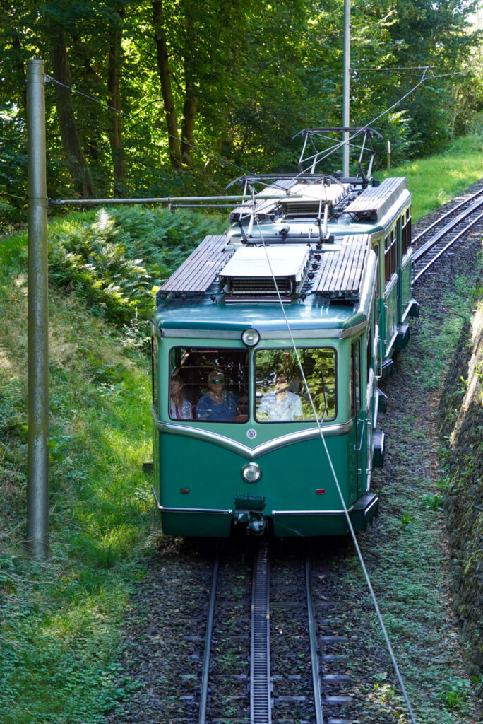 Drachenfels K&ouml;nigswinter