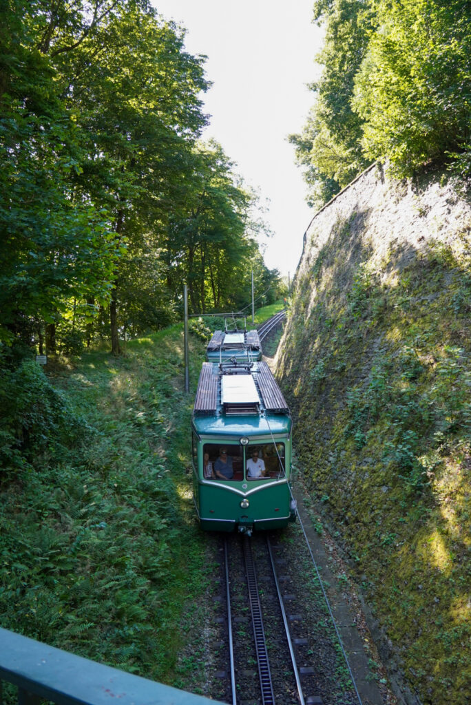 Drachenfels K&ouml;nigswinter