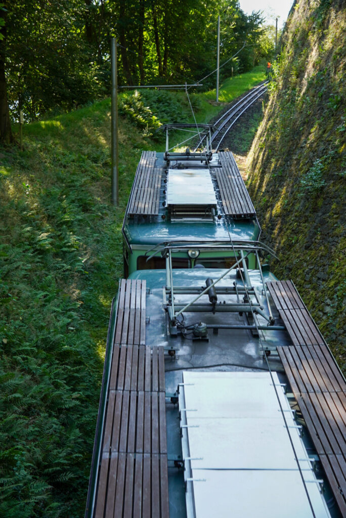 Drachenfels K&ouml;nigswinter