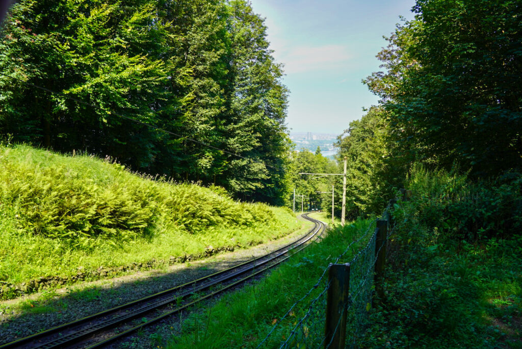 Drachenfels K&ouml;nigswinter