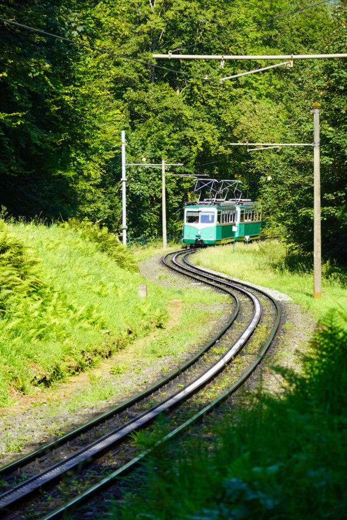 Drachenfels K&ouml;nigswinter