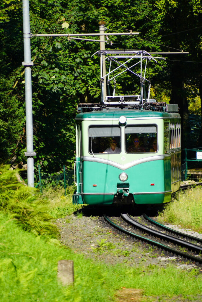 Drachenfels K&ouml;nigswinter