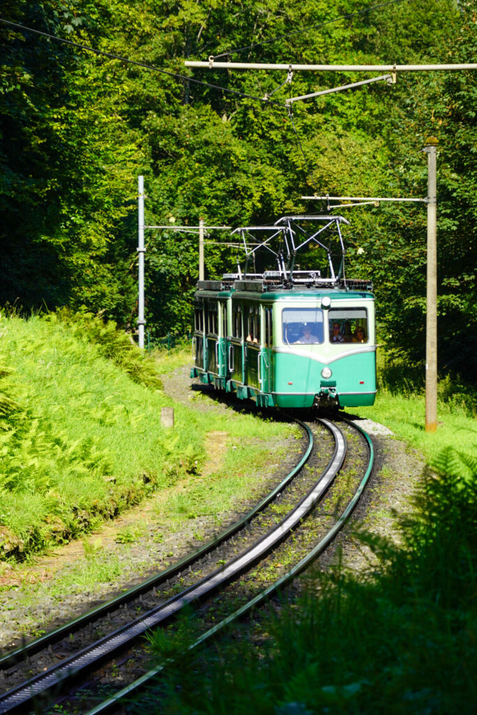 Drachenfels K&ouml;nigswinter