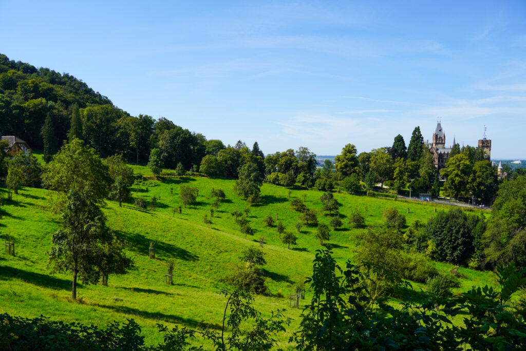 Drachenfels K&ouml;nigswinter