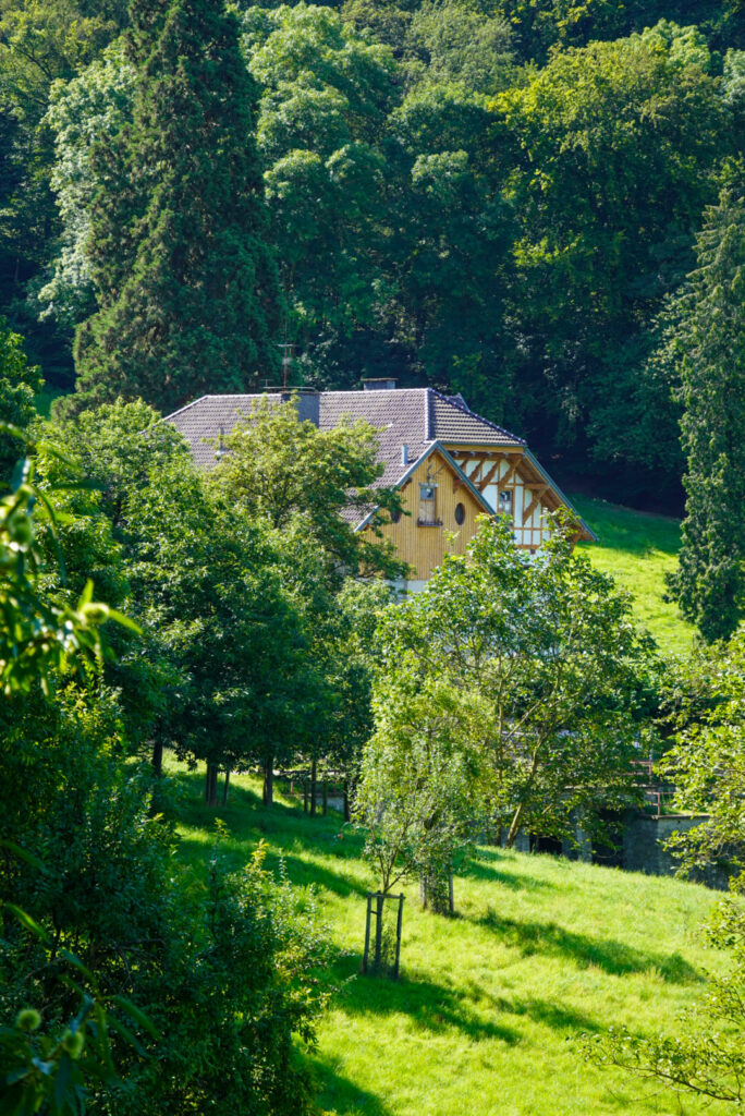Drachenfels K&ouml;nigswinter