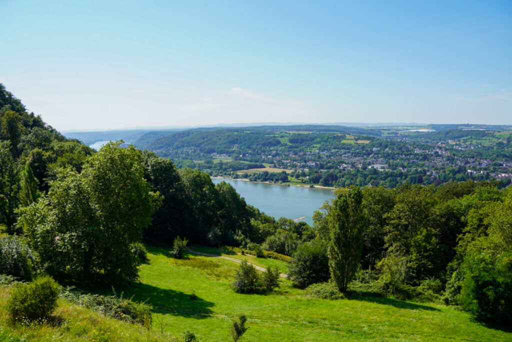 Drachenfels K&ouml;nigswinter