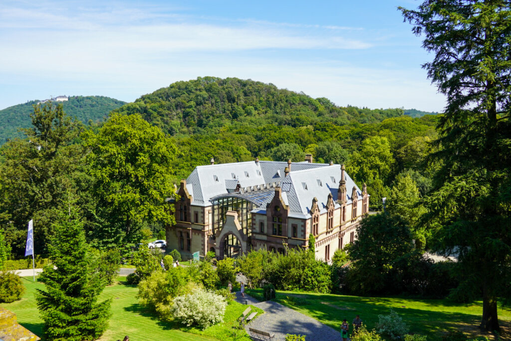 Drachenfels K&ouml;nigswinter