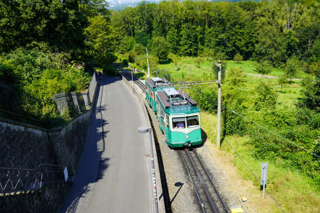 Drachenfels K&ouml;nigswinter