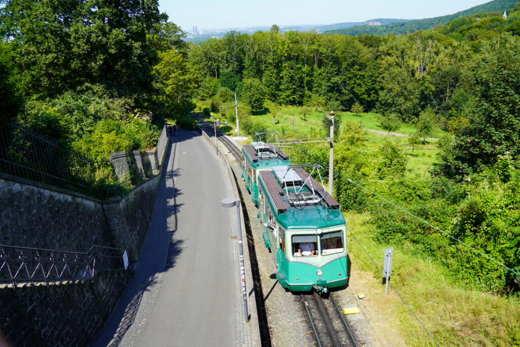 Drachenfels K&ouml;nigswinter