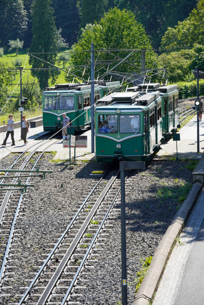 Drachenfels K&ouml;nigswinter