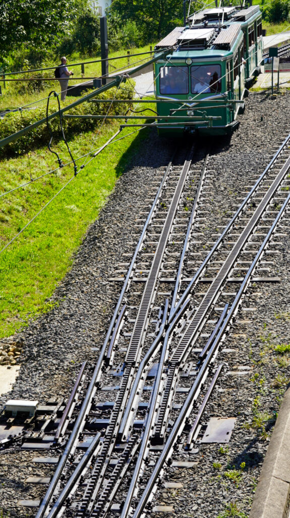 Drachenfels K&ouml;nigswinter