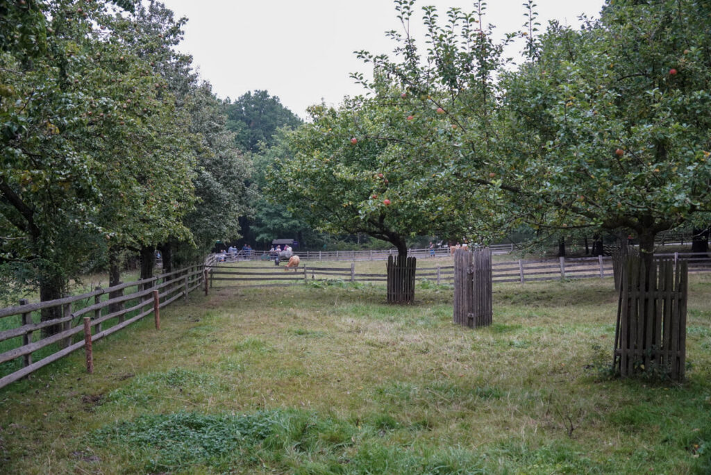 Zeitblende 1975 - Freilichtmuseum Kommern