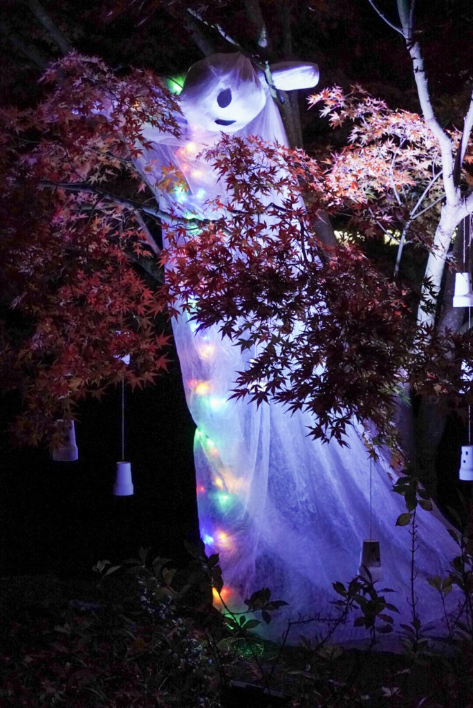 Herbstlichter Br&uuml;ckenkopfpark J&uuml;lich