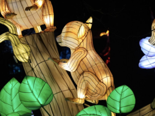 China Lights im K&ouml;lner Zoo