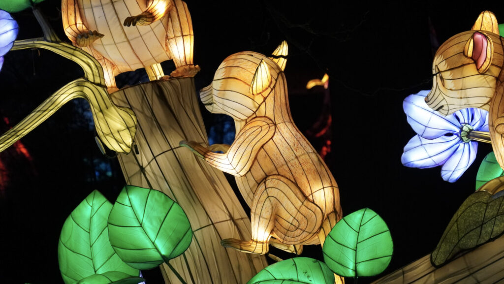 China Lights im K&ouml;lner Zoo