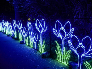 China Lights im K&ouml;lner Zoo