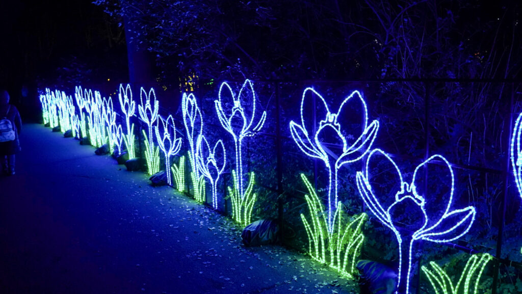 China Lights im K&ouml;lner Zoo