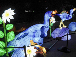 China Lights im K&ouml;lner Zoo