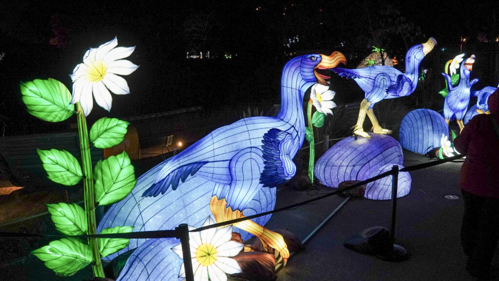 China Lights im K&ouml;lner Zoo