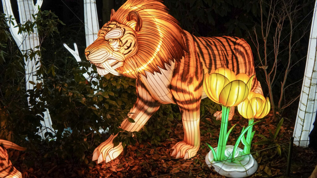 China Lights im K&ouml;lner Zoo