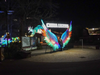 China Lights im K&ouml;lner Zoo