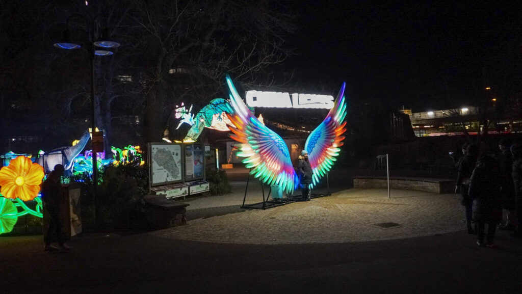 China Lights im K&ouml;lner Zoo
