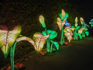 China Lights im K&ouml;lner Zoo