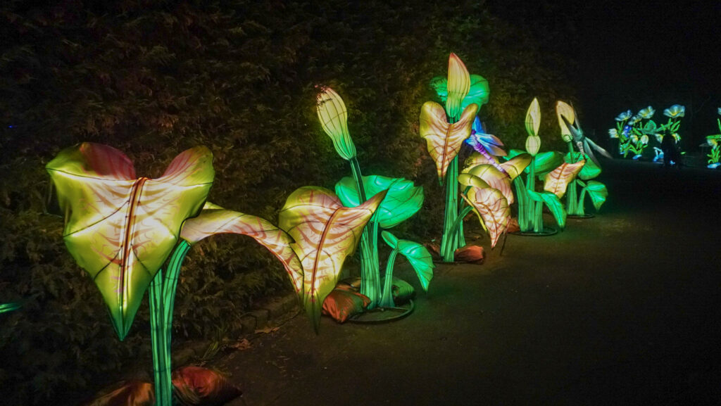 China Lights im K&ouml;lner Zoo