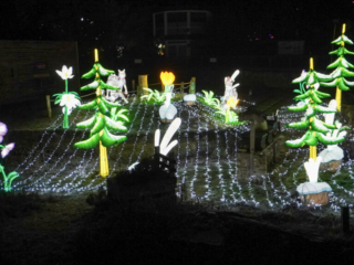 China Lights im K&ouml;lner Zoo