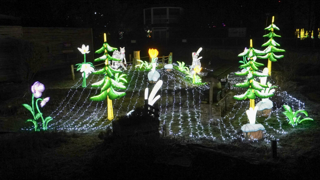 China Lights im K&ouml;lner Zoo