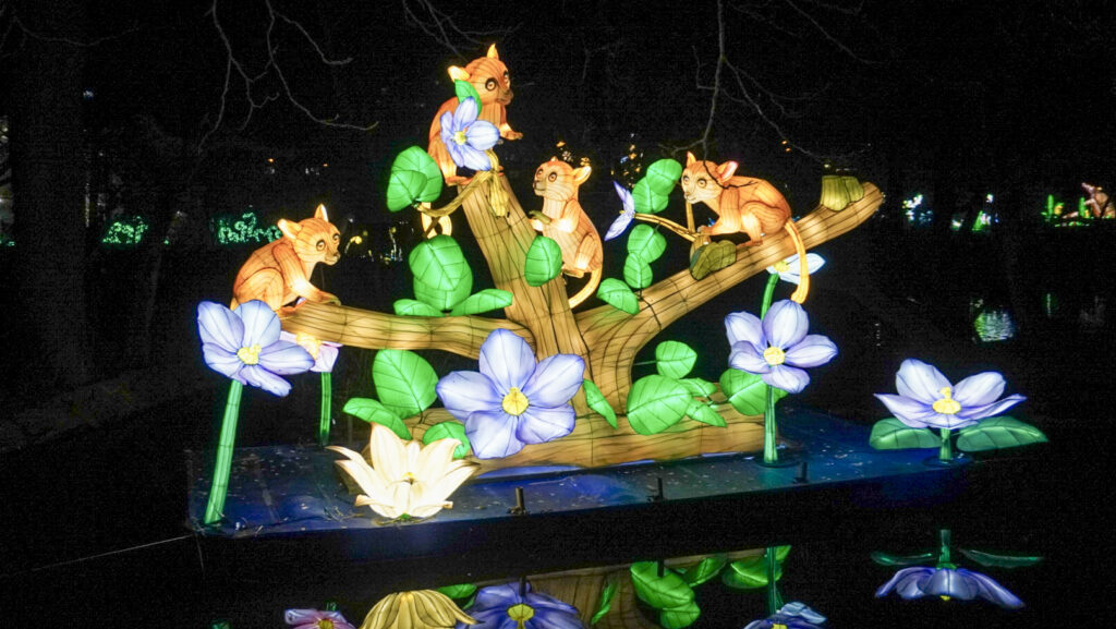 China Lights im K&ouml;lner Zoo