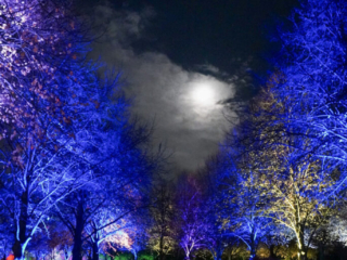 Herbstlichter Brückenkopfpark Jülich Herbstlichter Brückenkopfpark Jülich