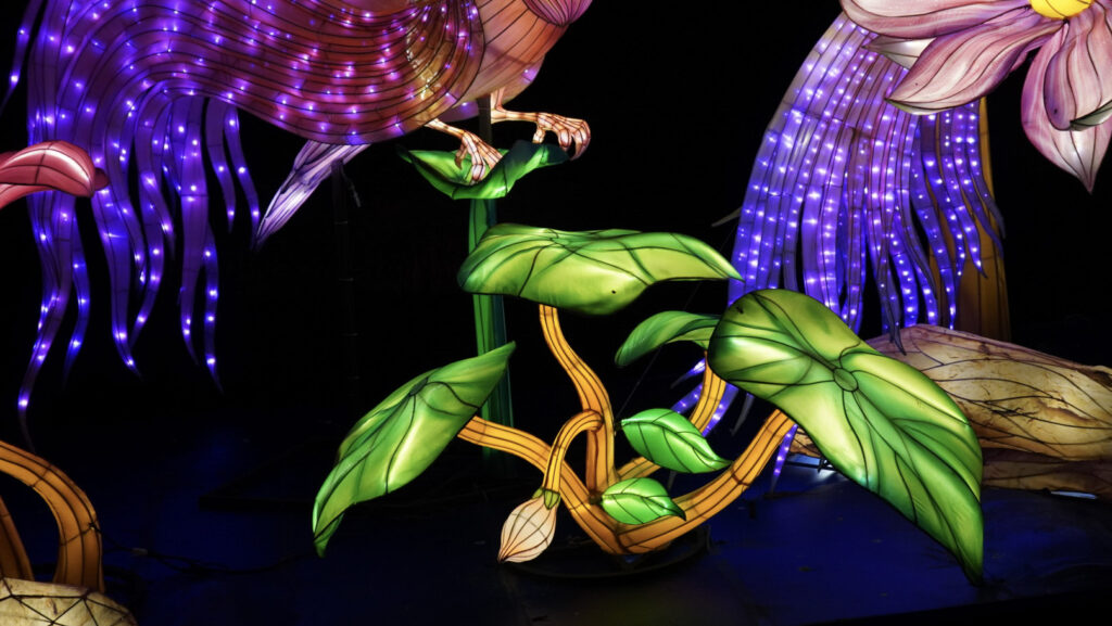 China Lights im K&ouml;lner Zoo