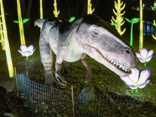 China Lights im K&ouml;lner Zoo