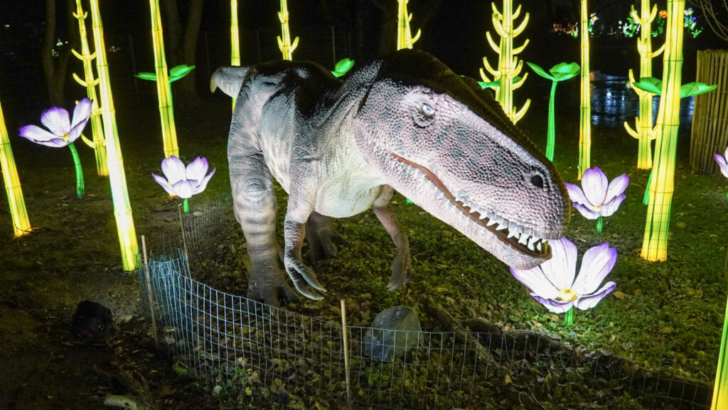China Lights im K&ouml;lner Zoo