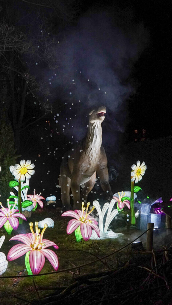 China Lights im K&ouml;lner Zoo