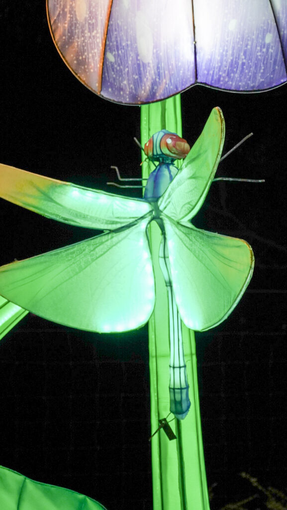 China Lights im K&ouml;lner Zoo