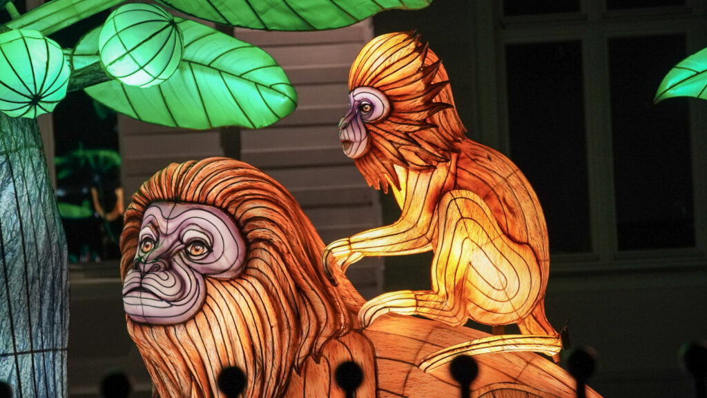 China Lights im K&ouml;lner Zoo