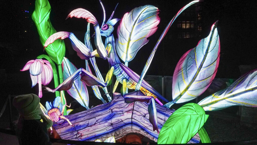 China Lights im K&ouml;lner Zoo